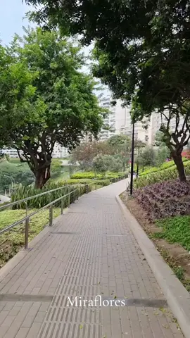 #Lima #Perú #miraflores #walking #limabella #limaverde #cerru #peru Caminando por Lima Perú, bajada Armendariz. 