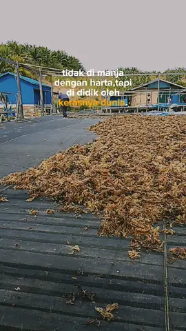 Semangat ko anggota demi masa dpan mu💪 #fypシ゚viral
