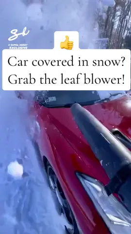 Snow shovel hacks! Not a fan of shoveling your car out from under a ll that snow? If it is powdered snow grab your leaf blower and blow it all away! Will work for powder snow on walkways, steps and driveways! ❄️ video credit: @supercarblondie #snowshoveling #shovelinghack #winterhacks #everydayhacks #snowtips 