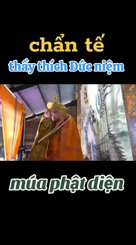 chẩn tế Thích Đức Niệm 
