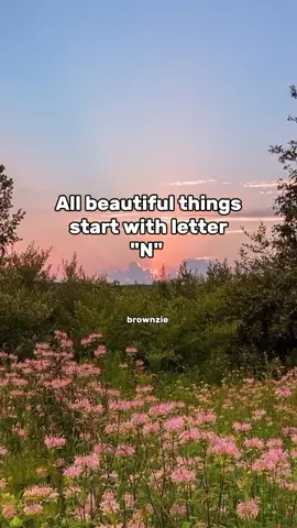 All beautiful things start with letter N#brownzie #1million #foryou #fyp #fypシ #fypppppppppppppp #tiktok #viral #trending #peterpen #NEVERLAND #brownzie #1million #fyp #foryou 