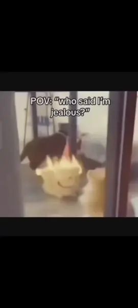 #fypdonggggggg #meme #jealous #funny 
