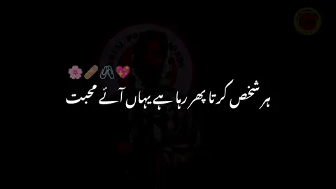 Muhabat🖇️🌸💝  #foryoupage #foryou #shayarilover #aesthetic #blackscreen #shayari #tiktokpakistan 