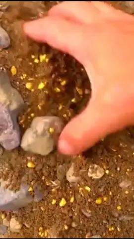 #fypシ゚viral #treasurehunting #arkeolog #treasurehunting #detector #cave #metaldetecting #metaldetetector #treasurehunt #treasurehunting #2022 #2022tiktok #treasure #goldhunting #gold #goldenretriever #jewelry #jewelrybusiness #treasure_yg #treasurehunt #treasurehunter 