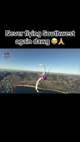 Southwest is not safe people! #southwestairlines #southwest #aviation #aviationlovers #aviationlife #msfs #msfs2020 #microsoftflightsimulator2020 #787 #boeing #boeing737 #boeing787 #fyp #foryou #foryoupage #fypシ #fypage 
