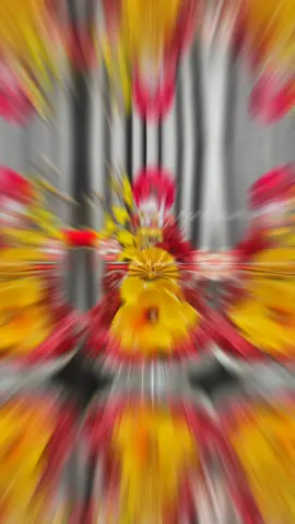 set mộc lan chữ Lộc này các c ưng k ạ #fyp #decor #tết2024 #tet2024 #thápbanhtailoc #huongdanlamthaptailoc 