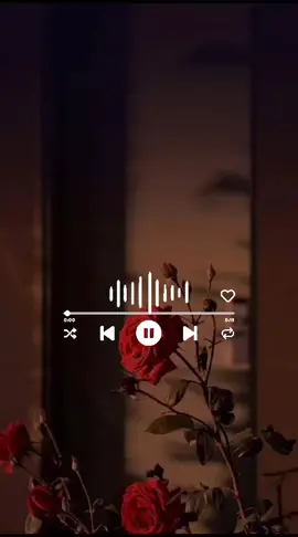 La mitad de mi vida es la mentira más bella 🎶🥀❤‍🩹 #MiSegundaVida #Arrolladora #amorydesamor   #letradecanciones #viral #parati