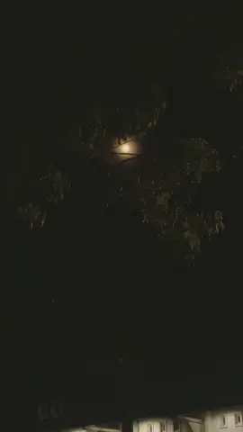 hari ini kau berdamai dengan dirimu sendiri #CapCut #tulus #diri #fypシ #storywa #liriksadstory #liriklagu #sadvibes #vibesmalamhari #vibes #storywhatsapp #fypシ゚viral 