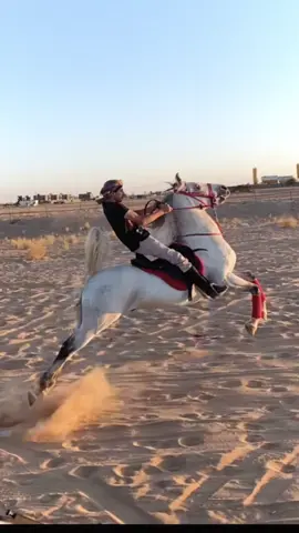 #طامع_اللامع #خيل #خيل_وخياله🐎 #خيول #فرسان #حصان #حصان_عربي_أصيل #فرسان #فرسان_الخيل #سباق #سباق_خيل #ظهران_الجنوب #نجران #خباش #مشاهير_تيك_توك #ماشاءالله_تبارك_الله 