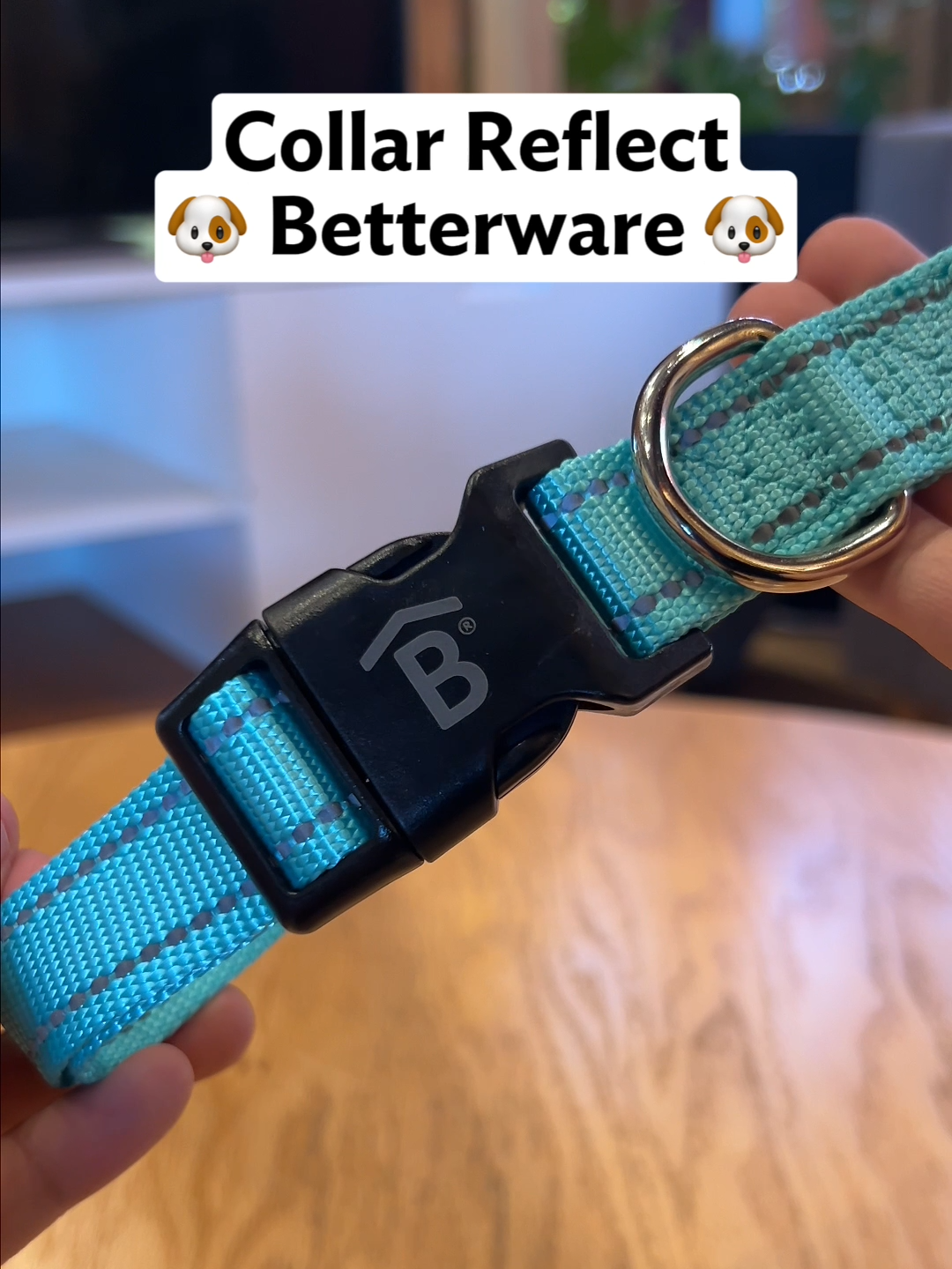 El Collar Reflect #Betterware te ayuda a mantener a tu mascota 🐶🐱 visible y segura en todo momento. Incluye una placa para que la personalices con el nombre de tu mascota.  #EncuentraLaSolucion #HogarEnArmonia #Mascotas #Pets #PerritoBetterware #CollarDePerros