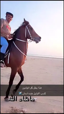 #خيل #خيل_وخياله🐎 #سباقات_الخيل #صلوا_على_رسول_الله 