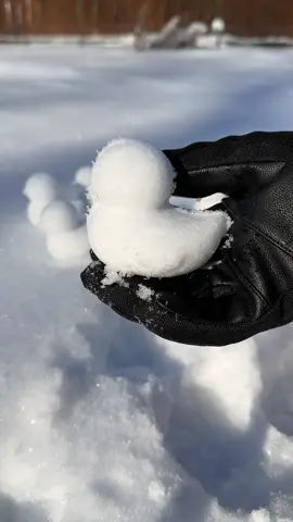 Snow Ducks🐥 #snowducks #snowball #snowday #boston #massachusetts #winter #winterwonderland #snowduckmaker 