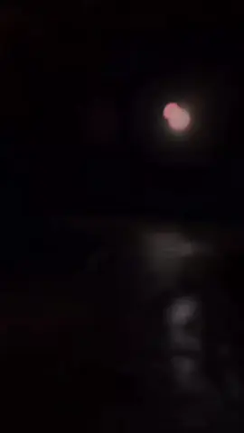 ماتسالونيش إلا بكيت عليها 💔🥺 #شاب_حسني #تصميم_فيديوهات🎶🎤🎬 #الكتابة_على_الفيديوهات🥁🔥🖤  #music #chebhasni #viral  #🇲🇦🇩🇿🇹🇳 @✨Simo_Simo✨ 