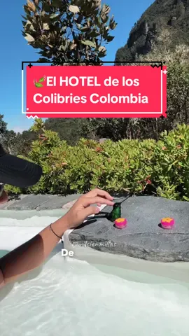 🍃 Este es el hotel de los colibries en Colombia, que ademas tiene aguas termales que bajan directamente de el Volcan Nevado del Ruiz. Se llama Termales del Ruiz y es una experiencia unica a solo 1 hora de Manizales Caldas en el Eje Cafetero Colombiano. Etiqueta la persona con quien vas a ir • • #termalesdelruiz #aguastermales #manizalescolombia