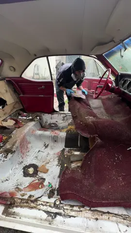 New carpet who dis? Rat infested carpet is out! Barnfind cutlass is smelling and looking wayyy better! #autointerior #barnfind #restoration #DIY #carpet #generalmotors #oldsmobile #cutlass #musclecar #detailing 