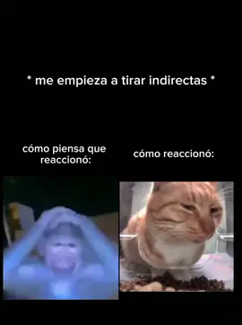 yo y los ardidos cuando🙈: #xyzbca #parati #foryou #ex's#humor #risa #humortiktok #indirecta #amor #gatos #ex #paratiiiiiiiiiiiiiiiiiiiiiiiiiiiiiii #critica #amigos #jojoreference #risas #problemas #chapulines #latam #mexico🇲🇽 