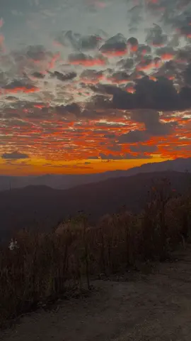 ณ แม่ย่าแคมป์ปิ้ง #แม่แจ่ม #chiangmai #thailand 