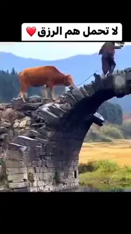 لا تحمل هن الدنيا فإنها لله ولا تحمل هم الرزق فإنه من الله #المغرب🇲🇦تونس🇹🇳الجزائر🇩🇿اكسبلور_تيك_توك🥀 @Om Zineb 