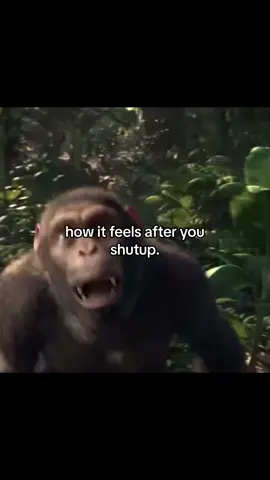 #fypシ #TikTokShop 
