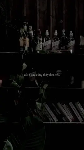 tại giờ trong người có nhiều nỗi buồn quá   cất ở đâu cũng thấy đau hết..                         #presennt #tamtrang #xuhuong #fyp #xh 