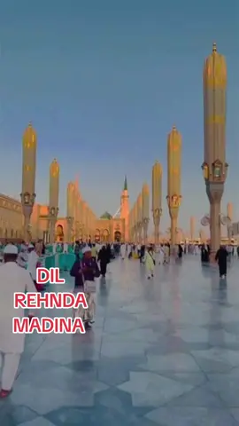☪️ 🕋 🕌  naat