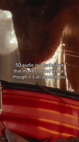 Immersed in nature’s ASMR symphony: tune in and unwind. 🌿🎧 @Panasonic USA #natureASMR 