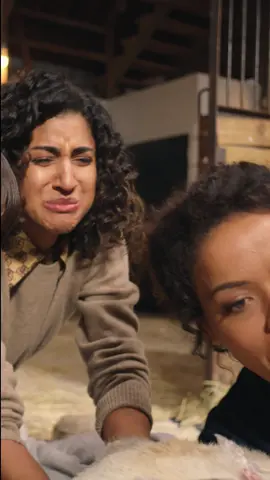 a girl boss' work never ends 💪 catch up on #animalcontrolfox on @hulu! #comedy #llama #animals