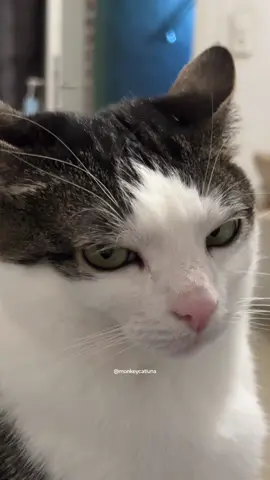 resting, „judging“, chatting