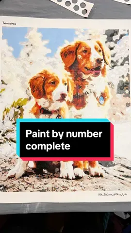My little sister got me this paint by number for my birthday and it turned out so good! It took me a solid month to finish though 🥴. I guess fun fact about me is that I love painting, this is my third one of these! #paintbynumber #dog #dogtok #paint 
