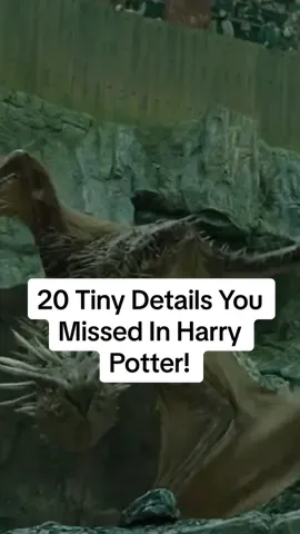 20 Tiny Details You Missed In Harry Potter! #harrypotterbooks #harrypotter #moviedetails #hermionegranger #ronweasley 