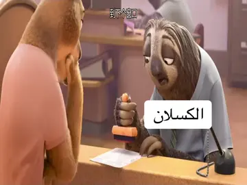 #كسلان #حيوان #foryou #tiktok #fypシ 