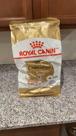 A little bit of Carnage does the body good!  #ChaosTheChihuahua #ChaosAndCarnage #chihuahuastiktok #royalcanin @Royal Canin 