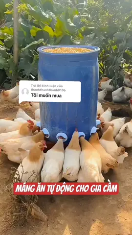 Trả lời @thanhthanhthanh0106 mua ở giỏ hàng ak, Máng ăn tự động cho gia cầm, thuận tiện cho việc chăn nuôi gà, vịt và gia cầm, yên tâm đi công việc mà không lo gà vịt thiếu thức ăn,...các bác thấy hay thì mua về dùng nha! #mangantudong #mangantudongchogavit #manganchoga #mangantudong #mangnuoc #channuoigiacam #ga #manggaan 