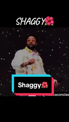 #shaggy #loveshaggy #shaggyangel #angel #hamaica #reggae #lovereggae💚💛❤ #rastafari #playa #parati #videoconletra #eresmiangel #viral #tiktokviral 