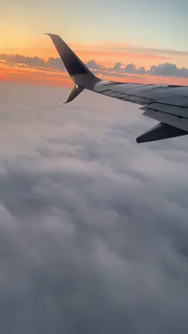 Early morning flight ✈️ 😊 #airlines #aviation #fypシ #plane #airplanes #flight #airplane #aircraft #planes #takingoff 