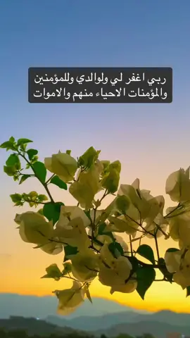 ربي اغفر لي ولوالدي وللمؤمنين والمؤمنات #ادعيه_اذكار_تسبيح_دعاء_استغفار 