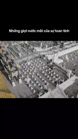 #phimcuato #phimtrung #haucungnhuytruyen #xuhuong 