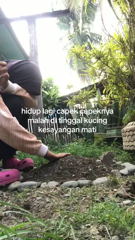 kalau sore” gini biasanya udahh nemenin leo main di luar tapi sekarangg nemenin leo di rumahh barunyaa🥺#ditinggalpergi #cats #ditinggalkucingkesayangan #kucinglucu 