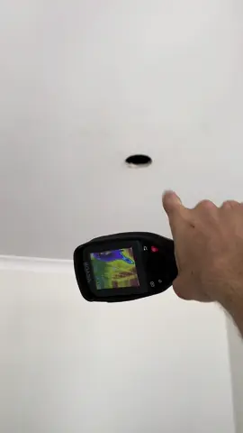 Are you old boys keeping up with the new tech? Heres a ramdom vid a property investor received today. Nice and clear baby 🧼 #canteachanolddognewtricks 