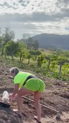 #beautiful #girls #driving #journey #viral #truck 