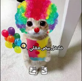 فلافل بيض مقلي🍳 