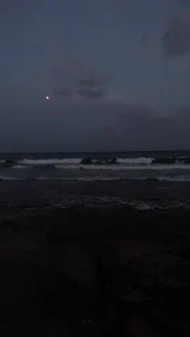 جيت على بالي وعيوني😓#طلال_سلامة #explore #fyp #foryou 