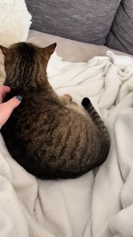 Imádni való személyisége van, ugye?😂