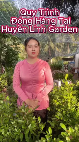 Đóng hàng cây giống như thế nào?? #huyenlinhgarden #nongsan #caygiong 