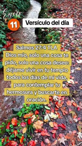 #versiculosbiblicos #Biblia #Versiculo #Dios #Jesus #Enero2024 #Devocional 