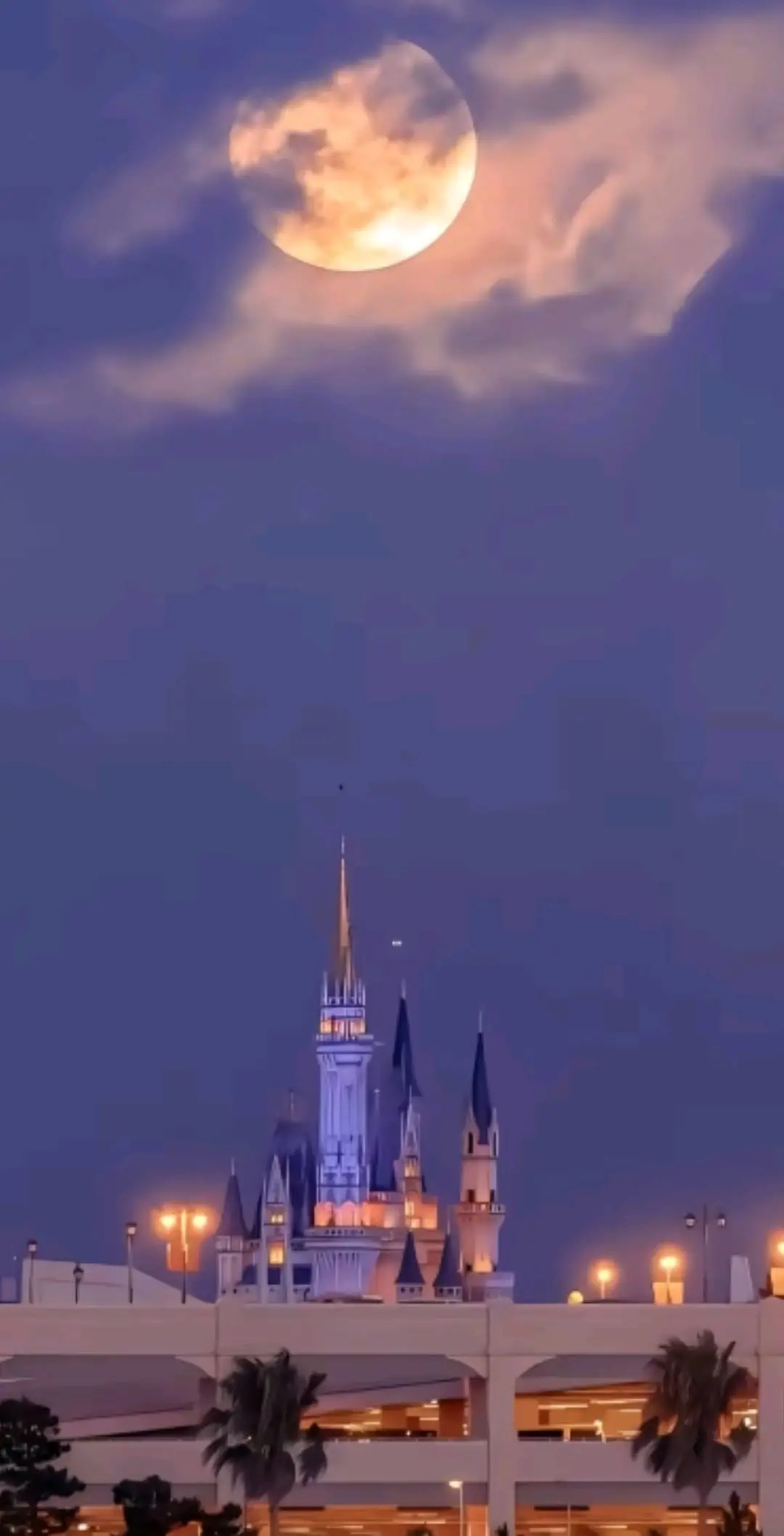 ما اجمل هذا الصوت 🥰#انشيد_اسلاميه #فرحتو_اناشد_الظلمآء #اجمل_اناشيد_دينية #لايك_متابعه_اكسبلور 