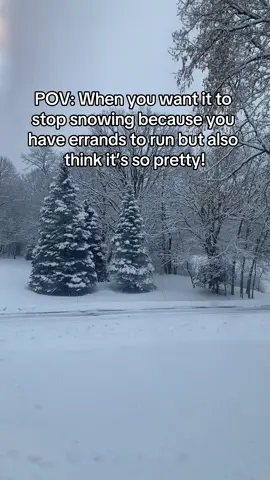 Winter is officially here! #snowfalling #snowfall #firstsnow #pretty #fyp #winter #winterinhere #snowchallenge 