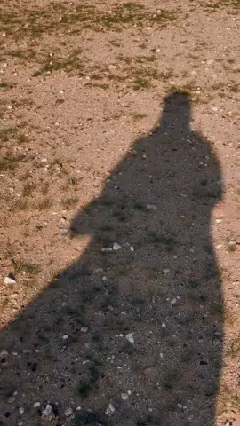 ‏ماخترتك عشان افارقك بيوم  ‏وماعرفتك عشان ادور لك بديل 🕊️ #يومياتي #CapCut 🕊️