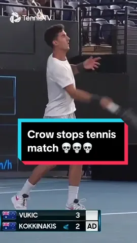 Weirdest interruption ever 🤣 #tennis #tennistv #atptour #kokkinakis 