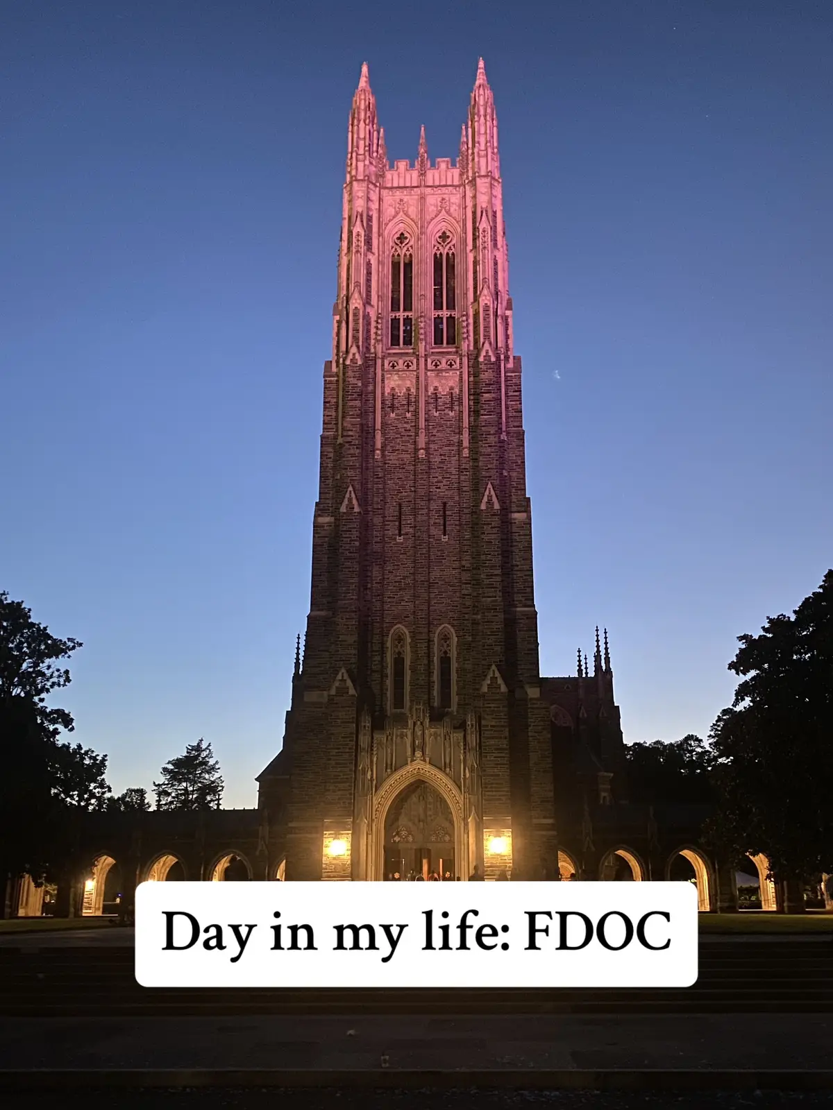 FDOC was good…ig